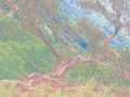 monet-005