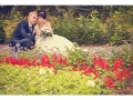 weddings
