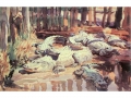 sargent-3
